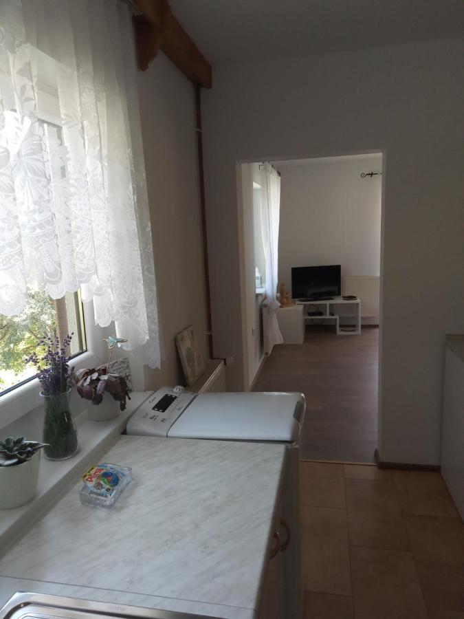 Apartment With A View Bohinjska Bistrica Exteriör bild